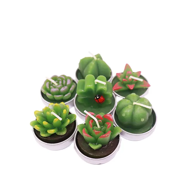 Gift Set Succulent Groene Planten Mini Cactus Theelichtje Kaars