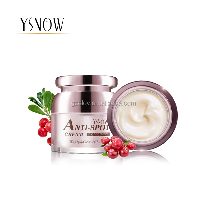 Anti-そばかすFace Night Cream/Best Skin Whitening Cream Anti-Spot Face DayとNight Cream