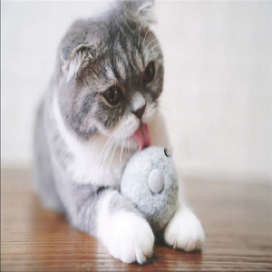 Bolas de gato de lã nova zelândia 100%, brinquedos com <span class=keywords><strong>catnip</strong></span> dentro