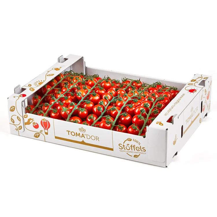 Boîte d'emballage en carton ondulé pour fruits et légumes, 50 pièces, emballage de tomate