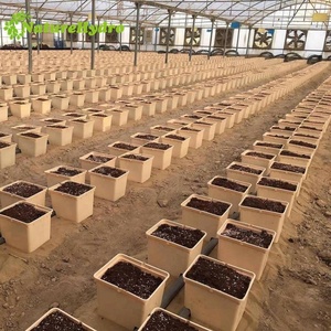 荷兰桶最优惠价格塑料塑料植物盆美式地板批发便宜的黑色苗圃塑料植物盆