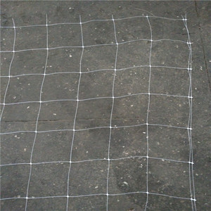 Domates tırmanma ağı/tırmanma bitki desteği kafes örgü bezelye Net - Product Image 4