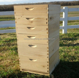 Trung quốc Tổ Ong Nhà Máy 10 Khung Hình hoặc 7 Khung Hình Linh Sam Thông Langstroth bee hive Hộp Set - Product Image 2