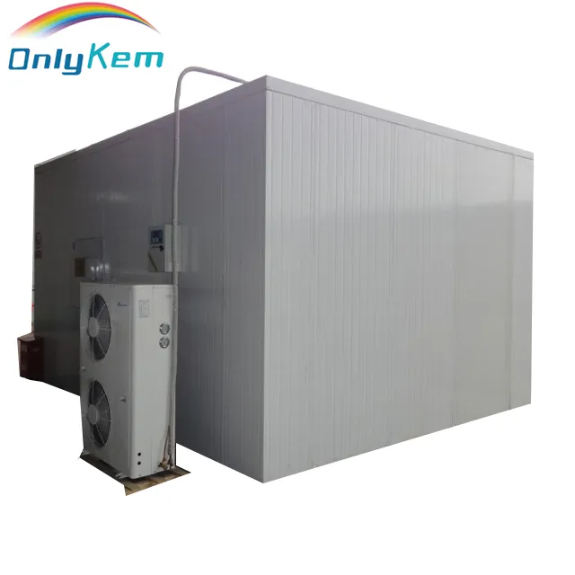 Walk in Chiller Cold Room Solar Powered Cold Store Container Industrial Refrigerator