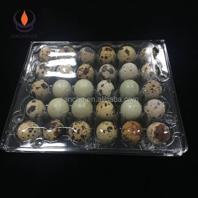 Plastic quail egg packaging storage container