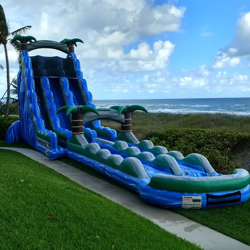 Hot sale Monsoon 30ft Tall Dual Lane commercial inflatable Water Slide inflatable tropical palm tree water slide