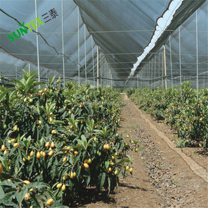 Agricultural Anti Hail <strong>Net</strong> for Apple Tree HDPE Plastic <strong>Net</strong> UV Stabilized 3-5 <strong>Years</strong> Anti Hail <strong>Net</strong>