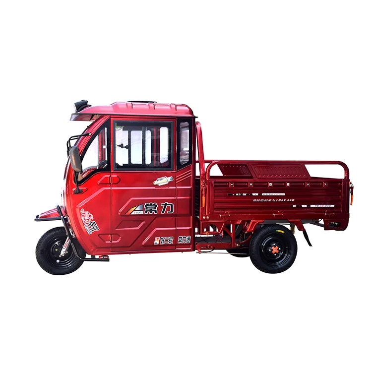 Big Power Heavy Loading Cargo Electric Loading 500kg 3 Wheel Electric Tricycle Motorcycle for Farm and Agriculture