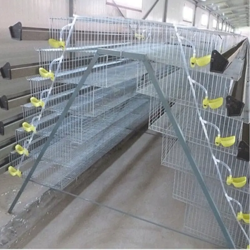 High quality commercial quail layer cage for sale