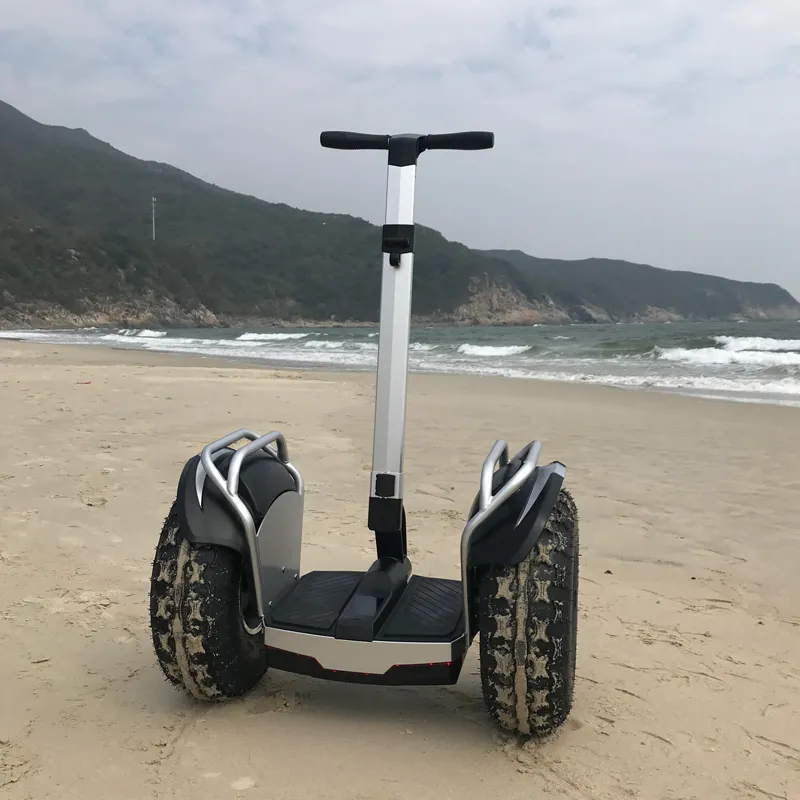 Alibaba Hot popolare off road elettrico hover board scooter motor x2 con APP