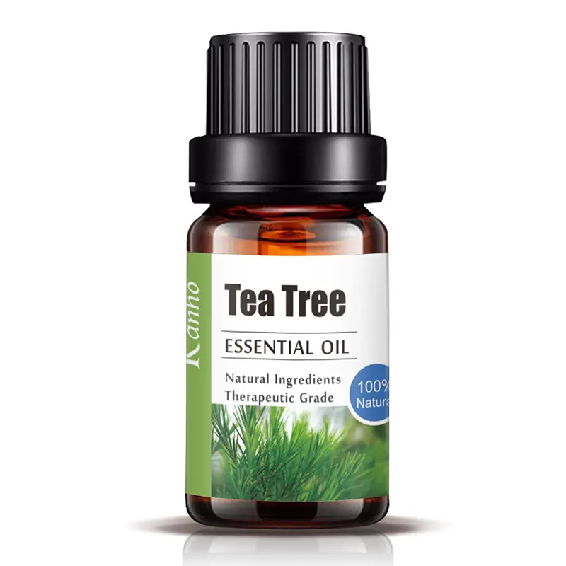 Belangrijkste Kanho Groothandel 100% Pure Biologische Natuurlijke Plant Tea Tree 10Ml Aromatherapie Etherische Olie Gezichtsmassage S