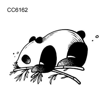 6162