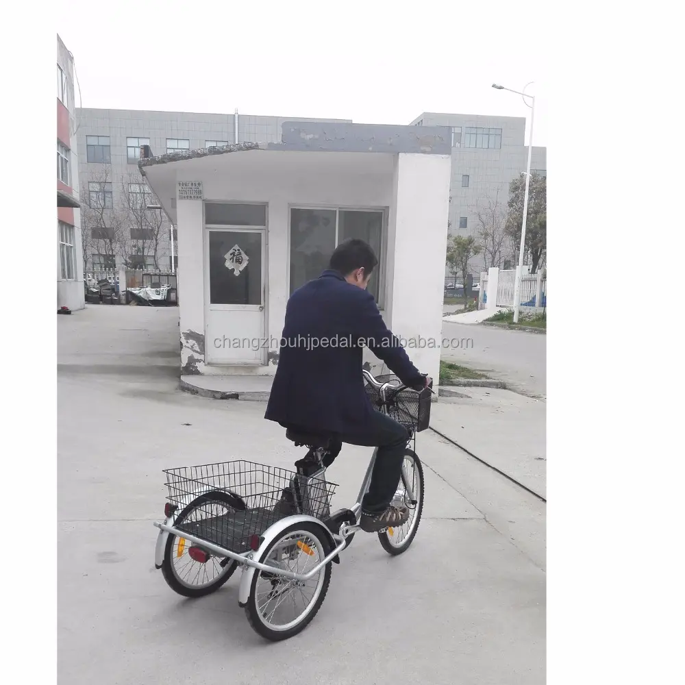 Trike elettrico della bici per il mercato Europeo