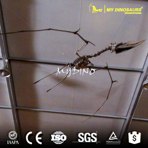 V erken kuş Archaeopteryx iskeleti örneği - Product Image 5
