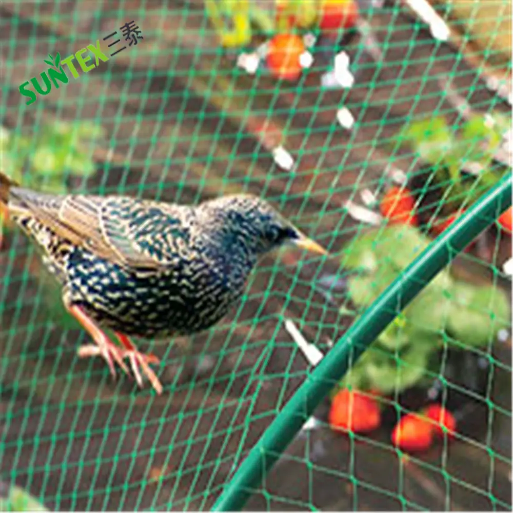 2 cm 3 cm 4 cm Öffnungsgröße PE Knotenfrüchte schutznetz gegen Vögel Geflügelhaltung Landwirtschaft Zaunnetz