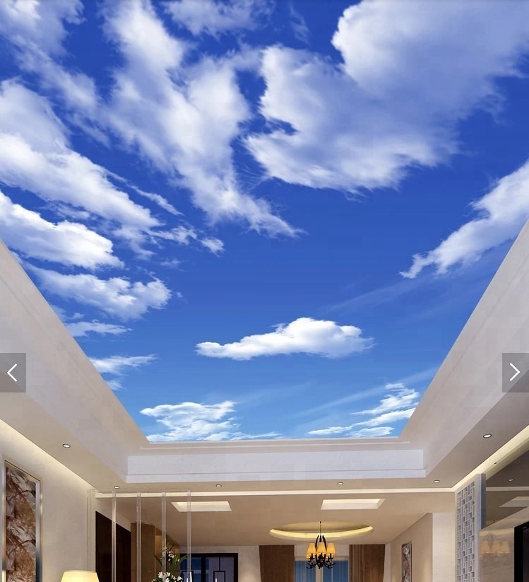Film de plafond tendu 3D