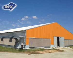 Modern büyük ölçekli otomatik tavuk çiftliği Broiler tavuk tavuk ev tasarımı 5000 tavuk - Product Image 4
