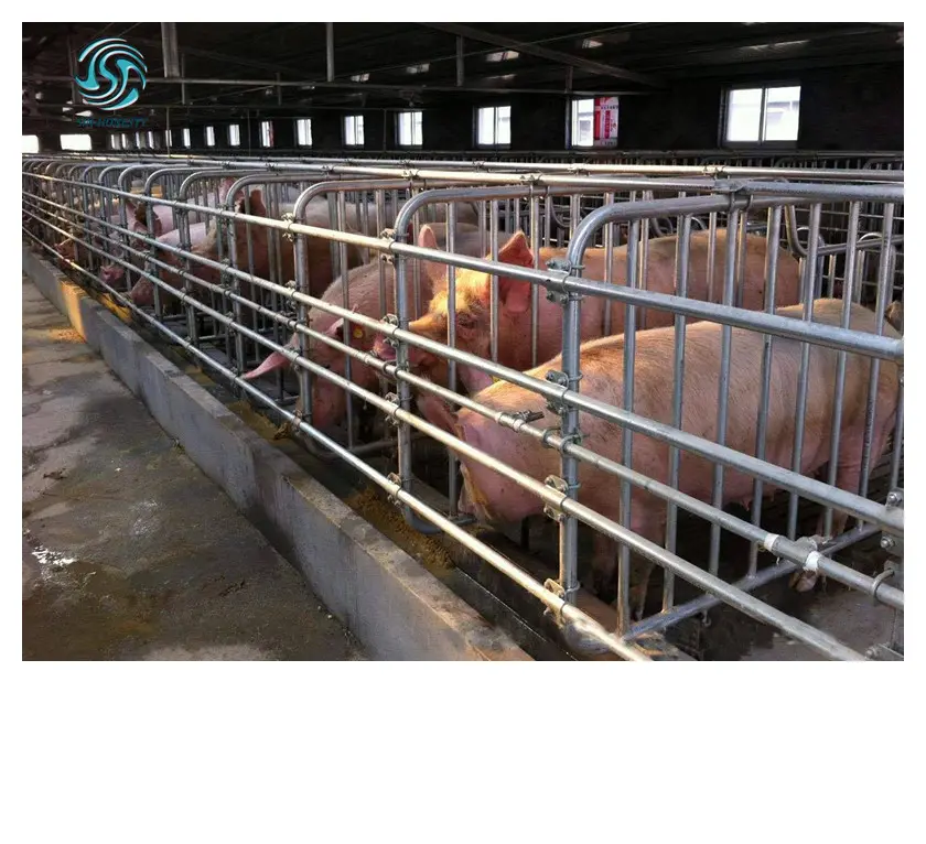 Pig attrezzature agricole acciaio inox hog pen
