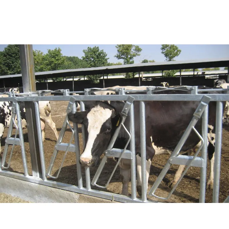 Farol de vaca margarida para auto bloqueio com borracha