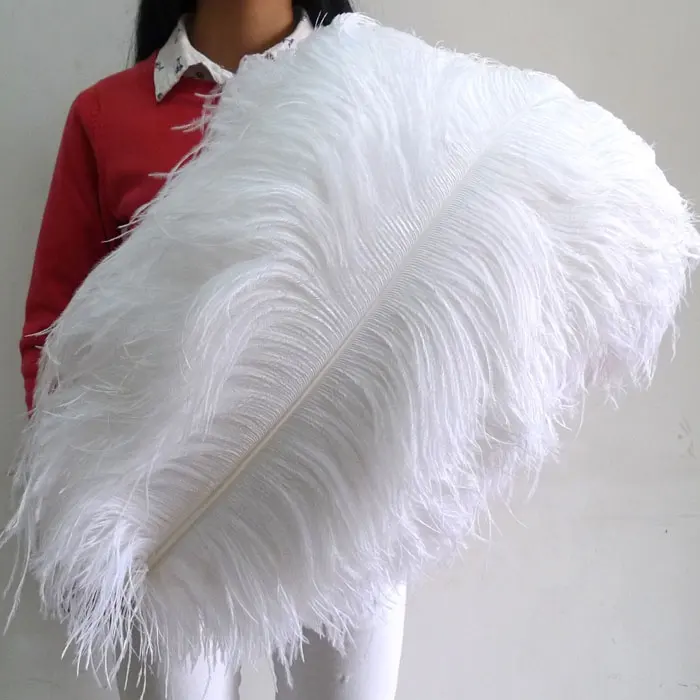 AYFOF--21 75-80cm seleccionados de calidad superior blanco plumas de avestruz para venta