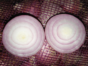 Delicious Vegetables 3-4センチメートルSmall Size Red Onion <span class=keywords><strong>Shallot</strong></span>