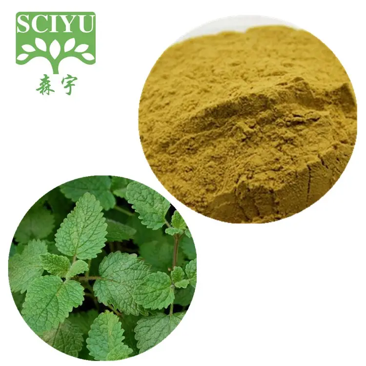 멜리사 officinalis 허브 추출물 레몬 밤 추출물 분말