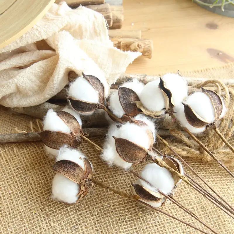 59cm Hot sale Natural Cotton Boll Stalk Single Stem bulk Natural cotton branch natural dried flowers for home decor