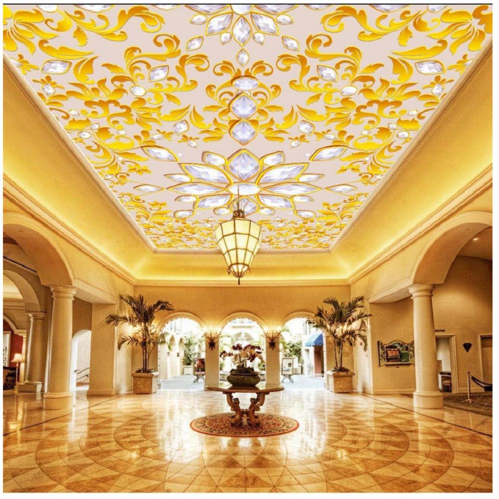 Film de plafond tendu 3D 08