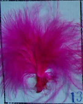 Cerise