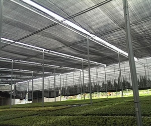 50gsm Black 6mx100m Agricultural <strong>HDPE</strong> <strong>Shading</strong> <strong>Net</strong> Sun Shade <strong>Net</strong> - Product Image 5