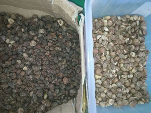 Intelligent CCD Parboiled Rice <strong>Color</strong> Sorter <strong>Machine</strong> China High Quality RGB Plastic <strong>Mineral</strong> Ore Optical <strong>Sorting</strong> <strong>Machine</strong> - Product Image 6