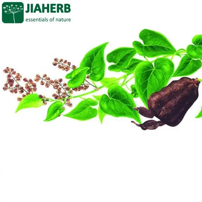 JIAHERB 18 años 6 fábricas ofrecen 100% Extracto de planta natural puro He Shou Wu extracto Polygonum multiflorum 4-1