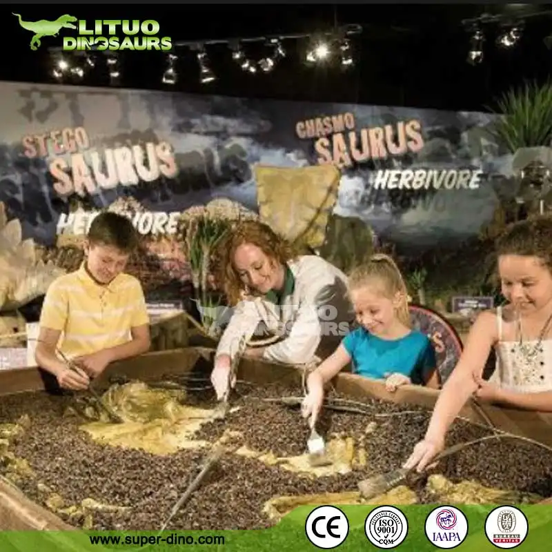 Educational Dinosaur Fossils Game