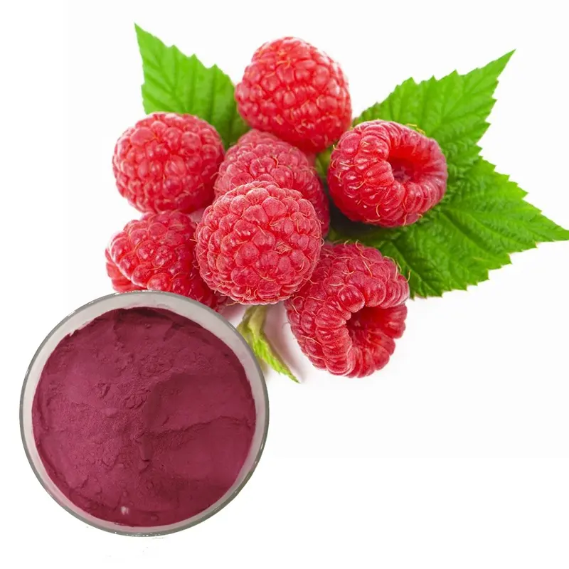 Extracto de fruta de Raspberry Rubi, polvo de fruta, 5-15%