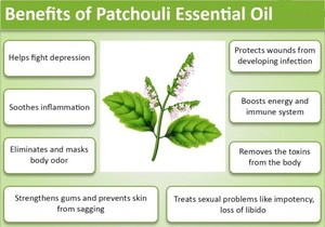 High Quality Natural Organic Indonesia Fragrance Patchouli Essential <strong>Oil</strong> Vagina Massage <strong>Oil</strong> - Product Image 4
