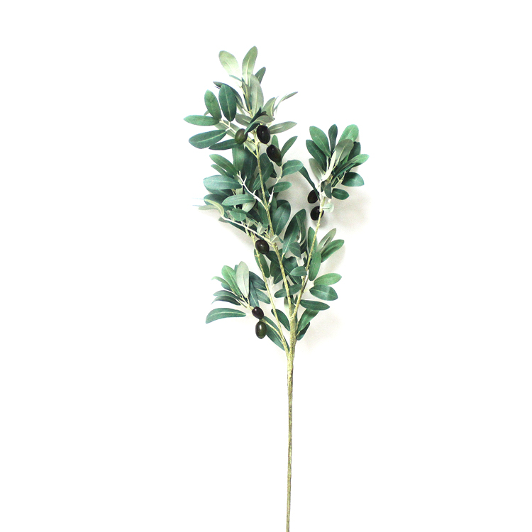 H:37"