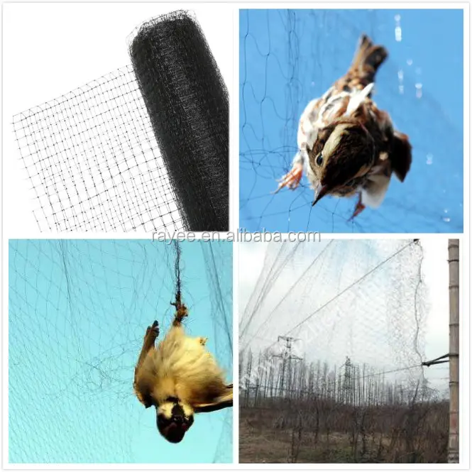 Rede de pássaro de seda preta para pegar pássaro ao vivo, malla de nylon para folhas, rede de captura oiseaux