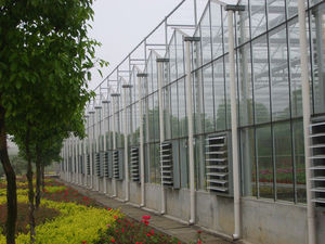 ราคาถูกการเกษตร Multispan เรือนกระจก <span class=keywords><strong>Venlo</strong></span> เรือนกระจกระบบการปลูกไฮโดรโปนิเรือนกระจกในเชิงพาณิชย์สำหรับการเพาะปลูก