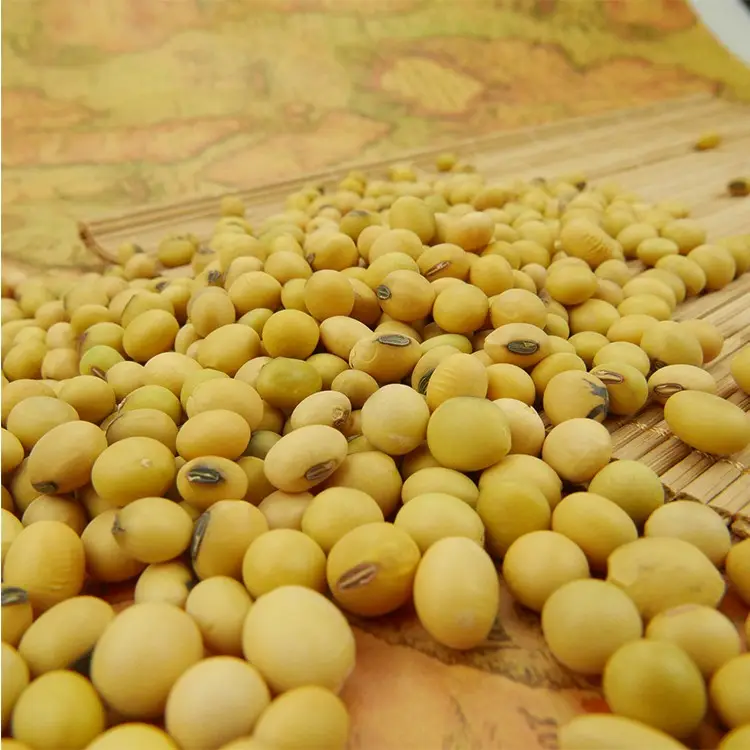 2023 फसल चीनी उच्च प्रोटीन सोया एन grano पीले सोयाबीन सोया सेम/सोया बीन के लिए बिक्री