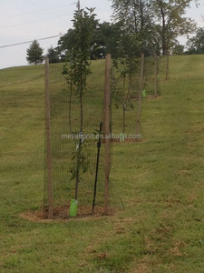 HDPE di Plastica Albero di Rete di Protezione di Protezione Della Maglia - Product Image 6