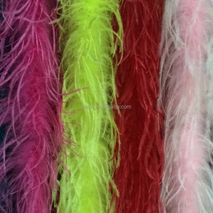 งูเหลือมขนนกกระจอกเทศ - Product Image 1