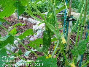 Plant Support Vine Climbing Garden <strong>Trellis</strong> <strong>Netting</strong> - Product Image 5