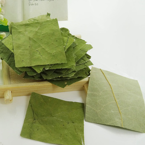 <strong>Lotus</strong> <strong>Leaf</strong> - Product Image 2