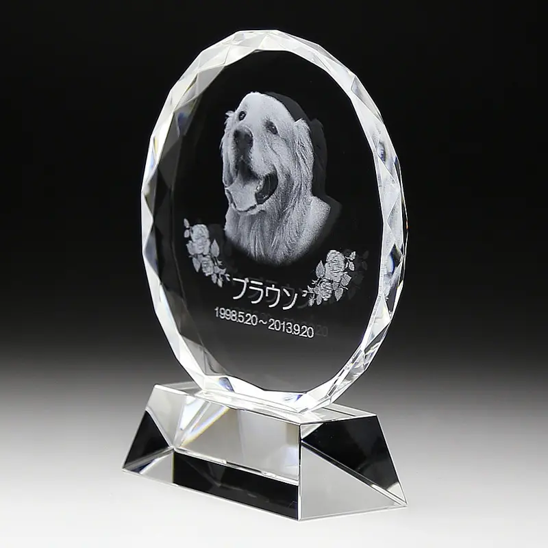 Placa de memoria personalizada para perro, cristal, diamante transparente