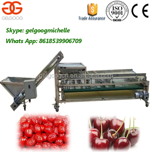 Buona Prestazione Plum Date Smistamento Macchina Grader Date di Classificazione Macchina - Product Image 5