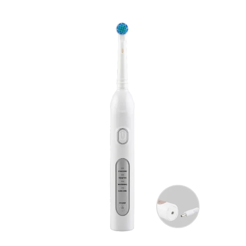 SEAGO SG913 Private label rotante per spazzolino sonico elettrico ricaricabile USB per adulti