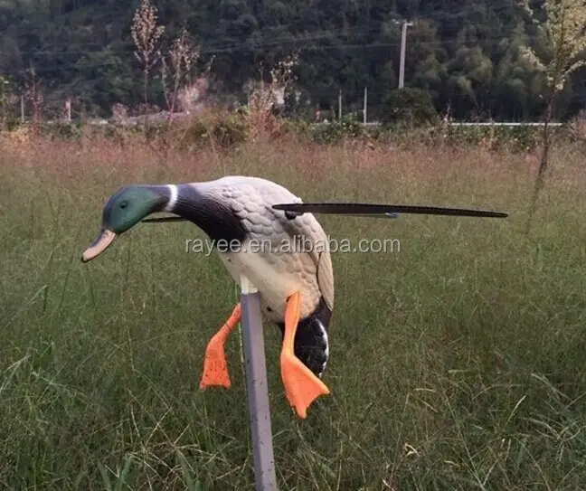 Decodificação de pato voador, motorizado, caça, pato, decodificadores