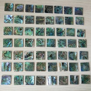Cutting Square <strong>Paua</strong> Abalone Shell Pieces Chips for Musical Instruments - Product Image 5