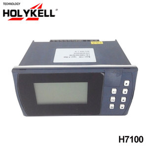 Holykell OEM-controlador de temperatura pid, registrador de datos de temperatura de un solo uso - Product Image 2