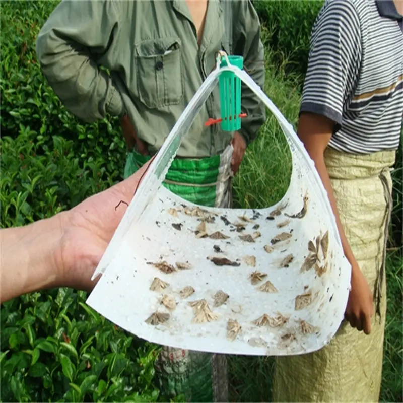 Euproctis pseudoconspersa insect pheromone lure pest traps for tea tree protect